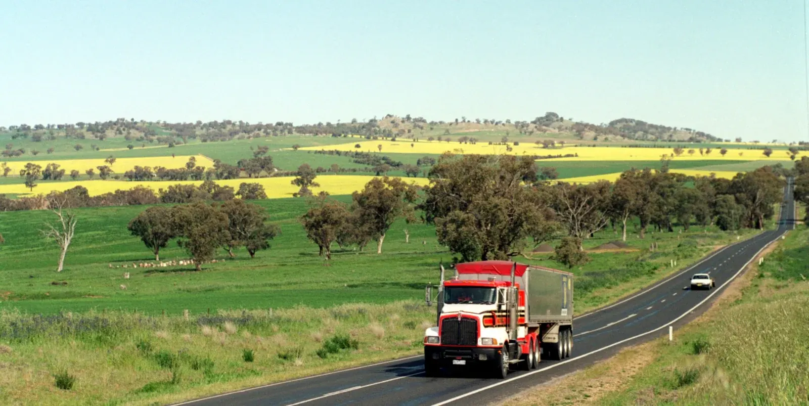A truck on a country highway near Cowra, New South Wales, past canola and wheat paddocks