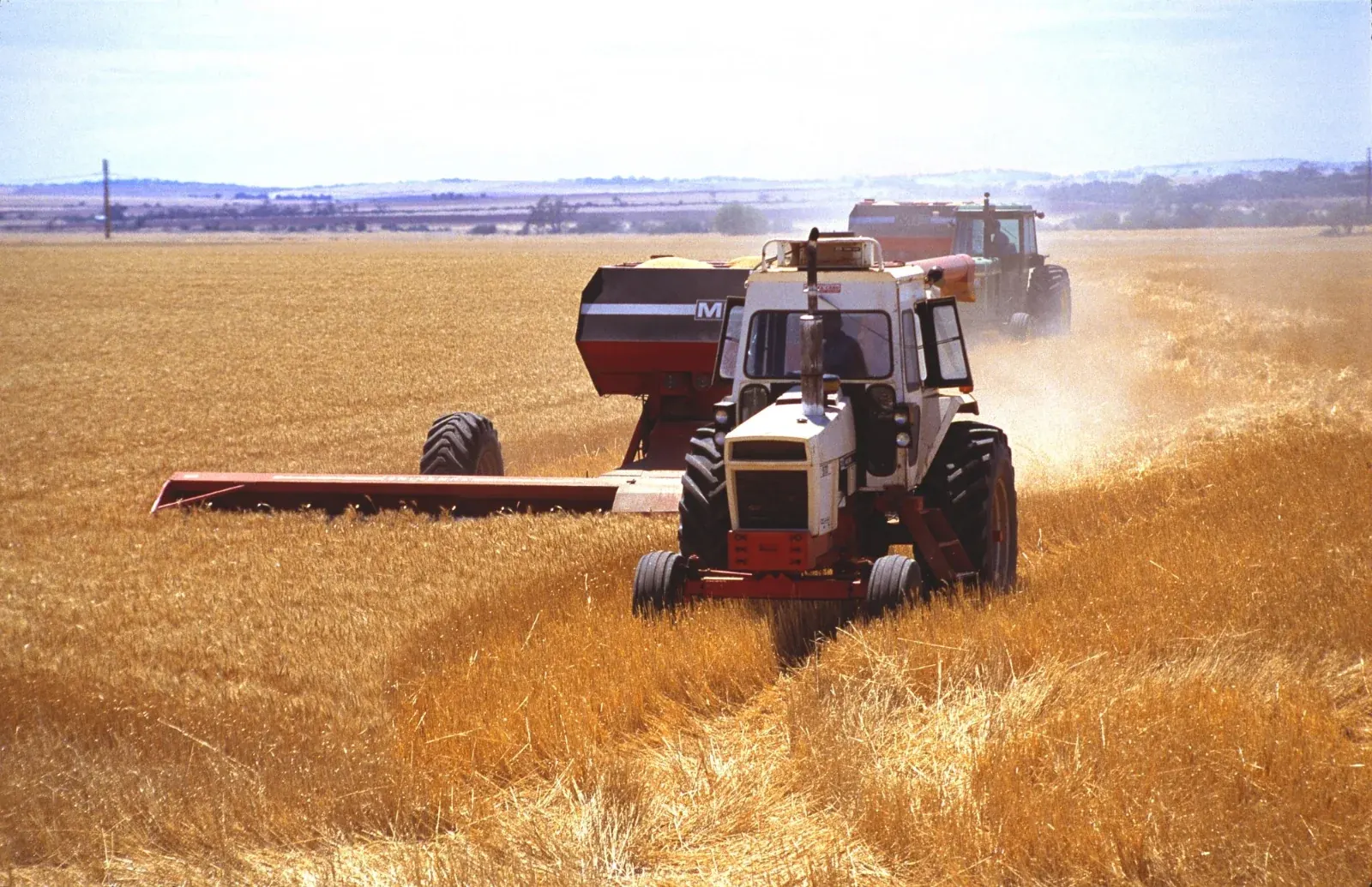 A harvester working a wheat crop near Blyth, South Australia